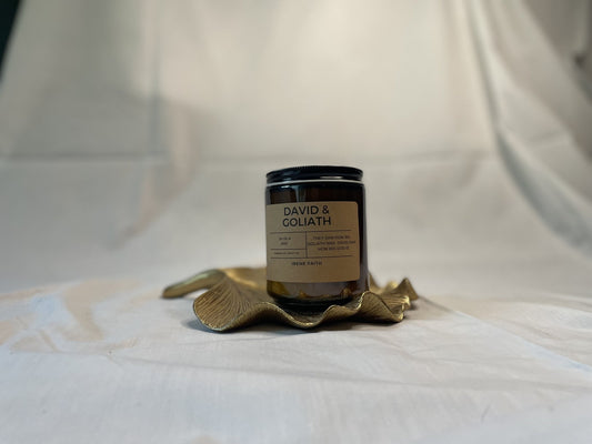 David & Goliath - Irene Faith Store products/david - goliath products/the - garden /products/monthly - glow - candle - subscription lean - burning coconut wax candle giftforher woodenwick cottonw