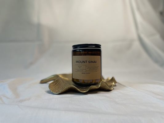 Mount Sinai - Irene Faith Store products/david - goliath products/the - garden /products/monthly - glow - candle - subscription lean - burning coconut wax candle giftforher woodenwick cottonw