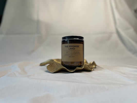 The Promise Land - Irene Faith Store products/david - goliath products/the - garden /products/monthly - glow - candle - subscription lean - burning coconut wax candle giftforher woodenwick cottonw